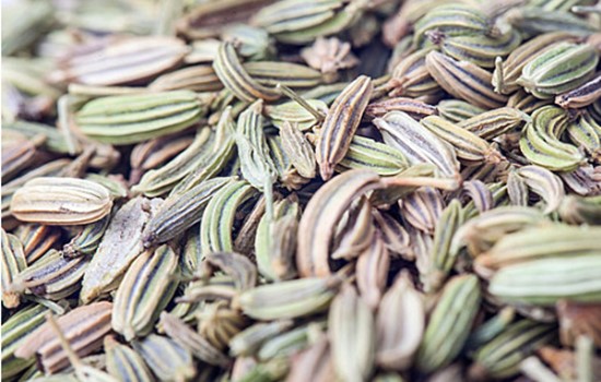 茴香進口報關(guān)