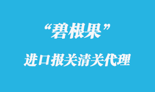 碧根果進(jìn)口報(bào)關(guān)代理