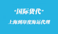 上海到印度海運物流公司有哪些？