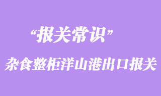 上海雜食整柜洋山港出口報(bào)關(guān)