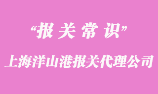 上海洋山港報關代理公司_18年經(jīng)驗
