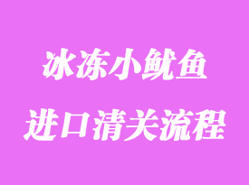 美國(guó)冰凍小魷魚(yú)進(jìn)口清關(guān)流程