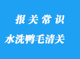 水洗鴨毛進(jìn)口清關(guān)手續(xù)流程與注意事項